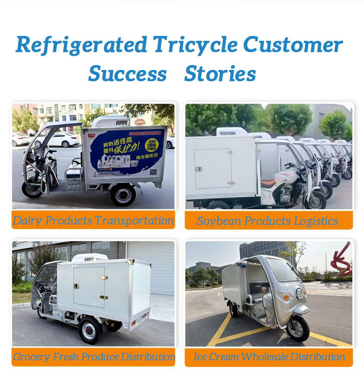 Three Wheel Electric Refrigerated Bike